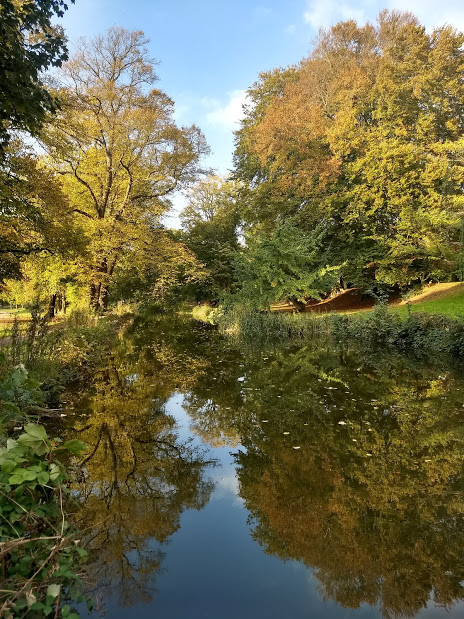 IMG_20181019_164015640_HDR